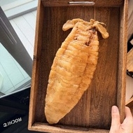 鰵魚膠，2頭鰵魚膠