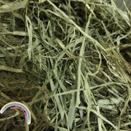 Timothy Premium Hay From US 1kg