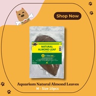 Aquarium Natural Almond Leaves M Size 10pcs