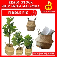 [READY STOCK] Artificial Tree Flower Decoration – FIDDLE FIG