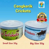 FISHER CANNED  CRICKETS CENGKERIK KERING TIN 35G / 50G