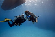 Elba Island Dive Discovery: สัมผัสประสบการณ์การดําน้ําลึกกับศูนย์ PADI