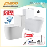 SORENTO One Piece Water Closet Wash Down Rimless Flushing / Twister System Toilet WC SRTWC8317-RL / 