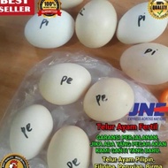 Jaminan Asli Telur Ayam Fertil / Ayam Philipin Pilipin Import / Bukan Telur Ayam Bangkok Birma Pama 