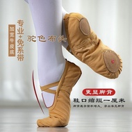 Dance Shoes, soft sole practice Shoes, cat claw Shoes, cat claw sh Dance Shoes soft sole practice Sh