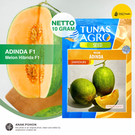 (1 PACK) Benih Melon ADINDA Hibrida F1 Renyah Manis Esklusif - Tunas Agro Seed - 10 GRAM