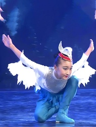 Wings Lingyun Children Performance Costume Holiday Cartoon Animal Modeling Dance Costume Bird Wings 