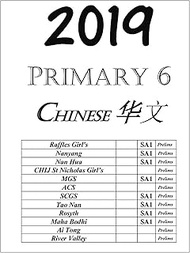 2019 Primary 6 Top Schools Exam Papers - P6 Chinese