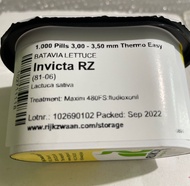 INVICTA RZ BATAVIA LETTUCE SEEDS (1000pills) by RIJK ZWAAN