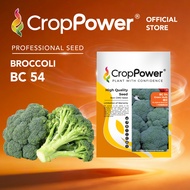 (5 GRAM) Biji Benih Brokoli Green Hulk 硬汉 BC54 CROP POWER F1 Hybrid Broccoli seeds  西兰花种子 BC54