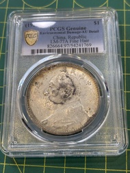 C73袁大頭9年精髮淡彩-AU