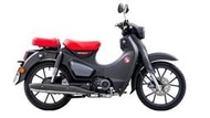 榮立中和店**HONDA SUPER CUB C125  超夯車型**