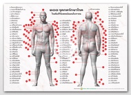 84.1 cm x 59.4 cm HD โปสเตอร์ 100 จุดกดรักษาโรคในการแพทย์แผนไทย - Poster for 100 points of healing i