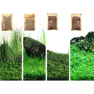 4 Beg Tumbuhan Akuarium S.e.e.ds, bukan Tumbuhan Plastik Tiruan, Rumput Hidup untuk Akuarium untuk S