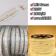 ไฟสายยาง ไฟซ่อนฝ้า ไฟเส้นLED ไฟตกแต่งLED Strip 220Vต่อไฟบ้าน สีวอร์ม แบ่งขาย 5M 10M 15M 20M 25M 30M