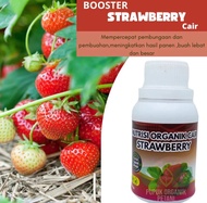 Pupuk Cair pelebat booster Strawberry Mempercepat Pembungaan dan Berbuah Lebat Manis Booster Strawberry Organik Pupuk Organik Perangsang Buah