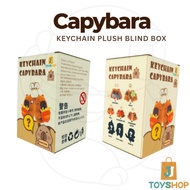 Capybara New Blind Box Keychain Plush Capybara Plush Keychain Kapibara Keychain Capibara Keychain Ca