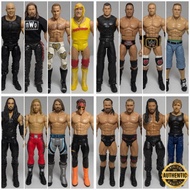 Mattel WWE Wresting Action Figure Toy