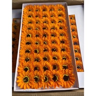 Sunflower wax type 1 box 50b (best selling color)