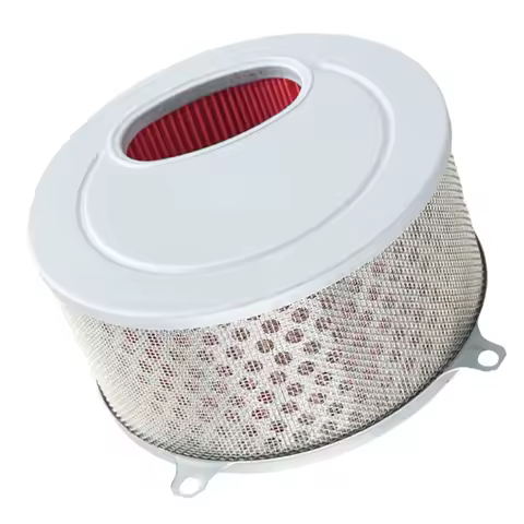 Motorcycle Accessories Air Filter Intake Cleaner Replacement for Daelim Daystar VL125 17213-BA1-0000