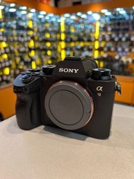 Sony A9 無反 20fps 高速 連拍 追焦 全片幅 fullflame 防震 追星 紅館 mirror 打雀 生態 鳥攝 4k