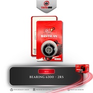 BEARING 6300-2RS RUI - BALL BEARING LAHER LAKER 6300 2RS