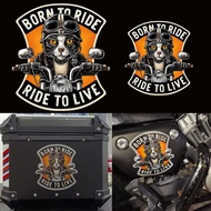 Reflective Born to Ride Cool Cat Rider Sticker Motorcycle Helmet Body Waterproof Decal