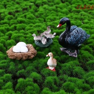 CLEOES Life Cycle Figures Science Gifts Swan Model Hen Cock Poultry Growth Cycle Cycle Duck Figurine