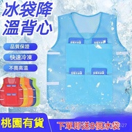 Taoyuan Ready Stock Ice Bag Cooling Vest Cooling Vest Summer Ice-making Vest Cooling Clothes Cooling