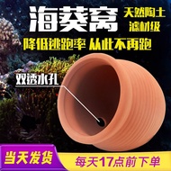 Sea Anemone Nest Pacifier Can House Cup Sea Anemone Home Carpet House Nest Pacifier Cup Container An