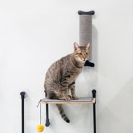 【Yeagle】貓室友的抓柱