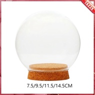 [Lszzx] with Base Valentine's Day Decoration Glass Cloche Ball Jar Dome