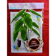 Plantita theme cake topper