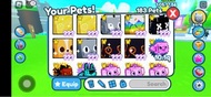 Pet simulator x huge pets