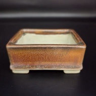 Bonsai pot japan pasu bonsai mini