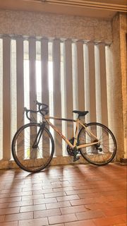 公路單車