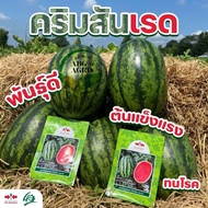 40g Benih Tembikai Madu Crimson Red F1/Watermelon Crimson Red F1/Tembikai Madu Thai F1/Cap Panah Mer