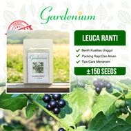 GARDENIUM Benih Leunca Ranti Tanaman Sayuran Buah Unggul