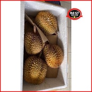 Durian Montong Sulawesi Fresh Utuh Dengan Kulit Original Best Seller