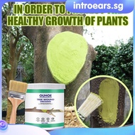 INTR Plant Wound Repair Cream With Brush Big Tree Wound Healing Agent Plant Smear Tree Healing Ointment Bonsai Sealant Plants Smear Agent