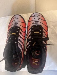 Nike Air Max Plus TN 運動鞋