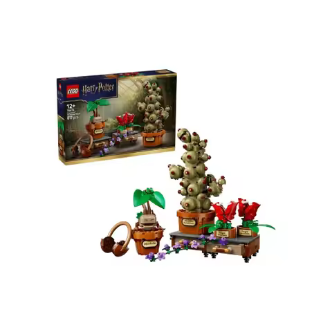 LEGO Harry Potter Collection Plastic Building Blocks 76474