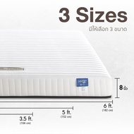 [ฟรี!ชุดผ้าปู] LOTUS ที่นอนยางพารา (สเปคแน่น-นุ่มสบาย) รุ่น Spring Free ส่งฟรี