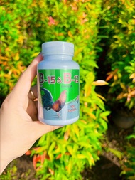 B15& B12 dinh dưỡng cho gà hũ 100v