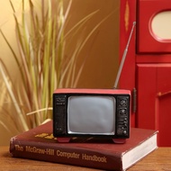 Vintage style TV home decor model