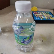 Summer mineral water 250ml