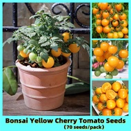 High Yield Heirloom Yellow Bonsai Cherry Tomato Seeds (70seeds ) Sweet Fruit Seeds Herbs Seeds Tomat