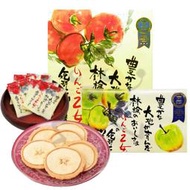 日本限定 長野信州名產 日本必買伴手禮 蘋果乙女 乙女蘋果 蘋果煎餅 蘋果餅乾 煎餅 日本零食 蘋果薄餅薄片【小元寶】