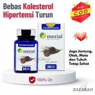[READY] MERIAL Red Pine Korea Obat Kolesterol Pinus Merah Suplemen