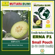 BENIH MELON HIBRIDA ERNA F1 ISI 40 BUTIR BENIH TAHAN GEMINI VIRUS CAP MUTIARA BUMI